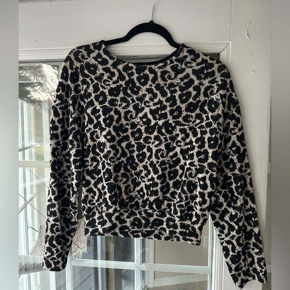 Zara Cheetah Print Crewneck Sweater
